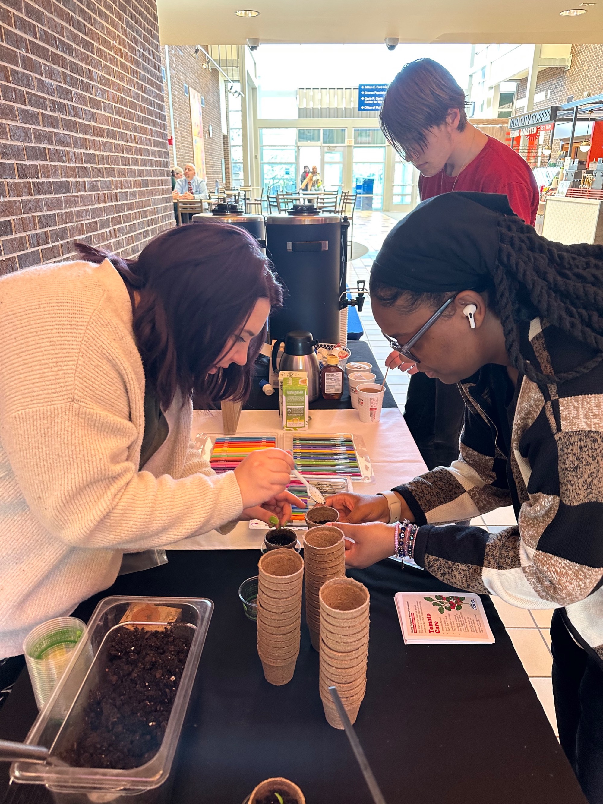 Students plant tomato seeds for earth day